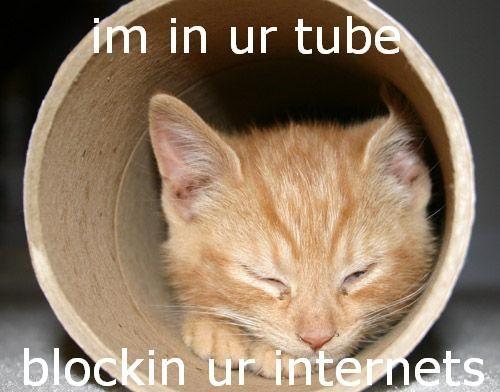 CJXDRKX5W2W2TUVXJWZQLSD4PMD3G2AS.jpg