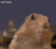 Dramatic Chipmunk / Drama Prairie Dog