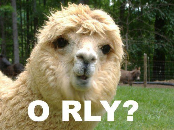 O RLY?