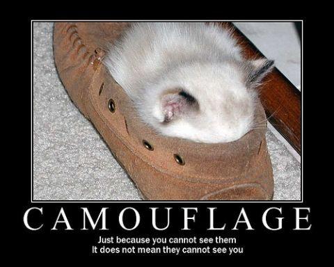 camouflage.jpg