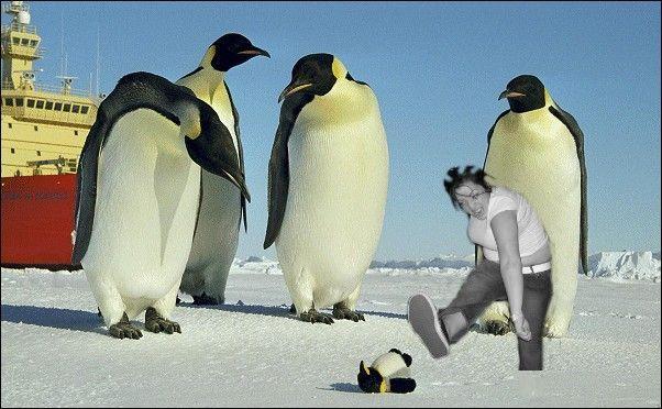 moshing_04.jpg