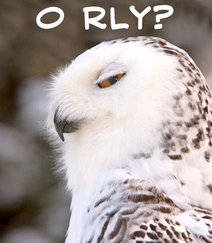 O RLY?