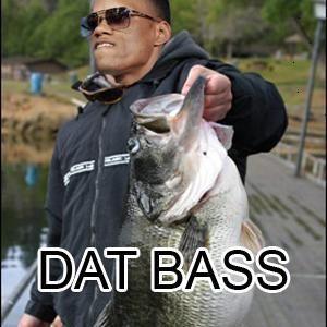 DATBASS.jpg.jpeg
