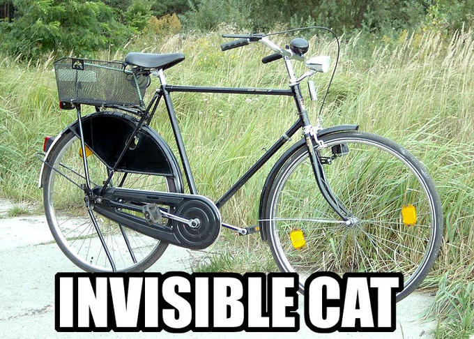 LOLcats