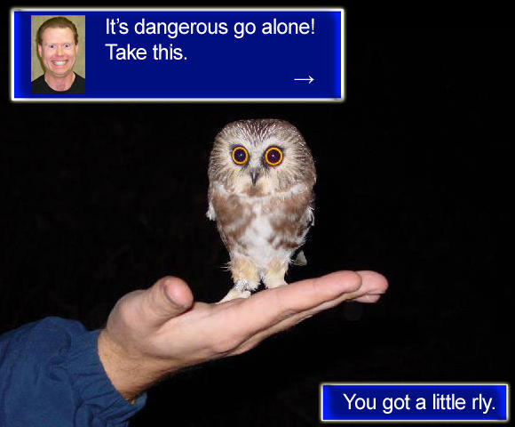 It's Dangerous to Go Alone! Take This