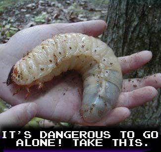 It's Dangerous to Go Alone! Take This