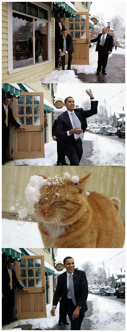 Obama Snowball