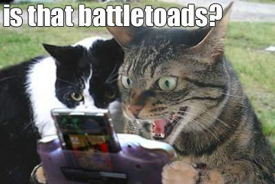 battretoads.jpg