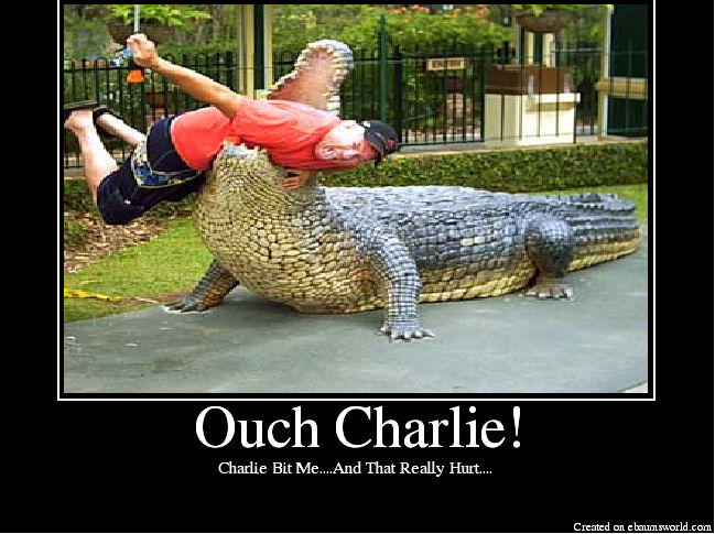 Charlie Bit Me