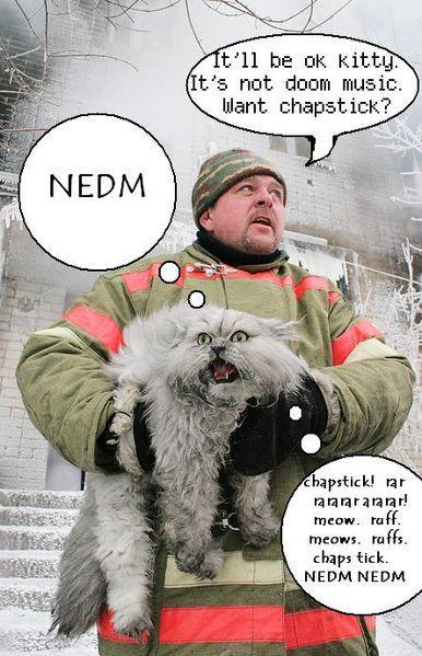 NEDM