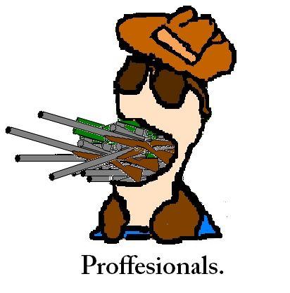 proffesionals_2_jpeg.JPEG