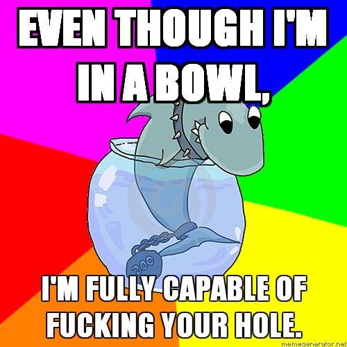 Rhyming pet Shark