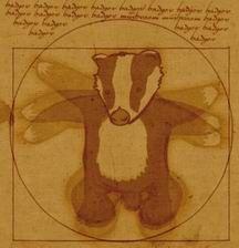 Badger_cool20110724-22047-iq5ncf.jpg