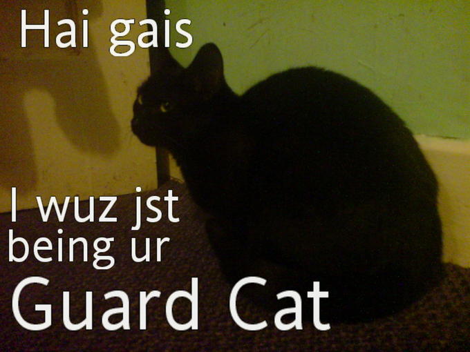 Lilleth_guardCat.jpg