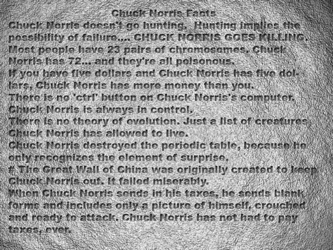 Chuck Norris Facts
