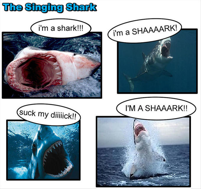 The Singing Shark