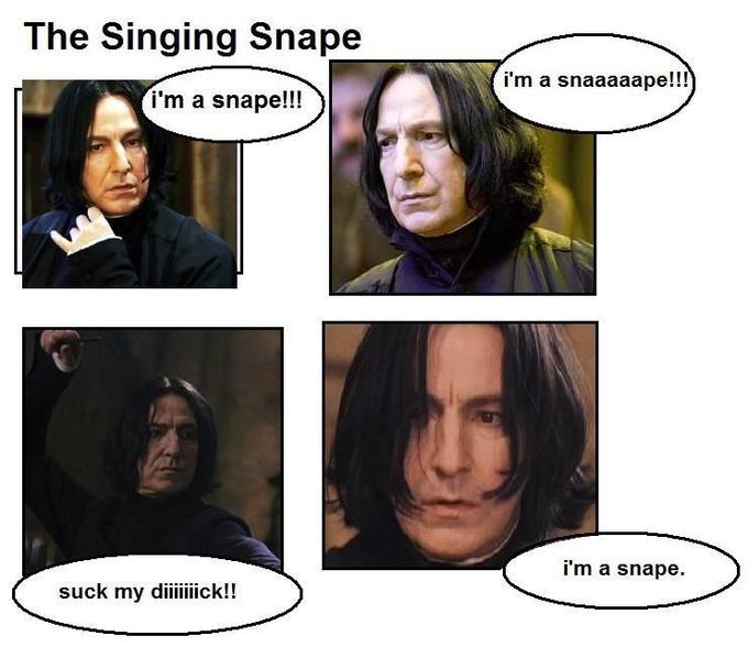 The Singing Shark