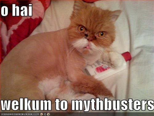 mythbuster.jpg