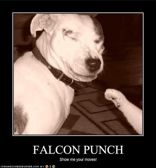 falcon_punch_dog.jpg