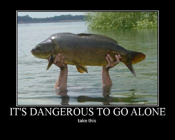 It's Dangerous to Go Alone! Take This