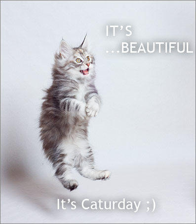 Caturday