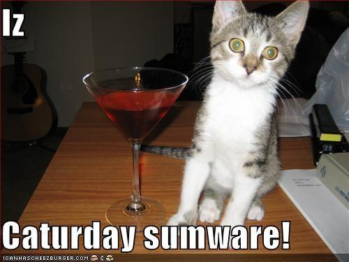 128347762375781250izcaturdaysum.jpg