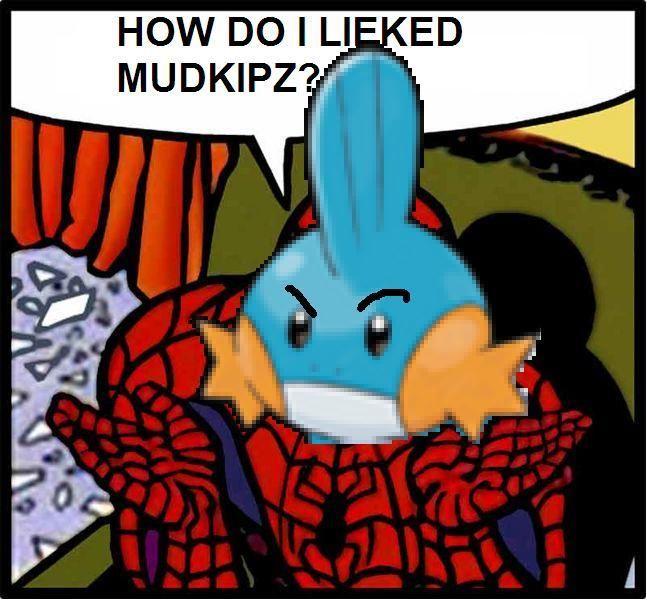 Howdoiliekedmudkipz.jpg
