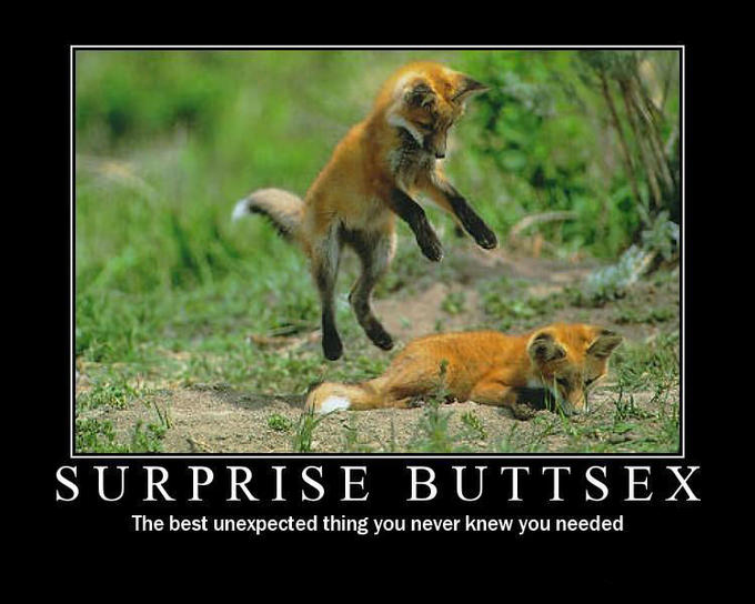 Surprise Buttsecks