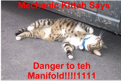 catz_18.gif