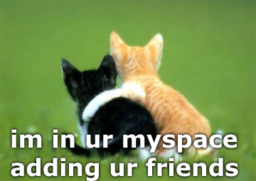 seehere.blogspot.com_20cats_20_3_.png