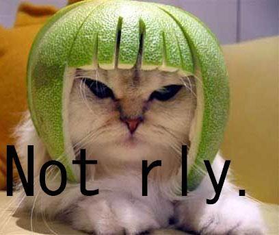 Limecat