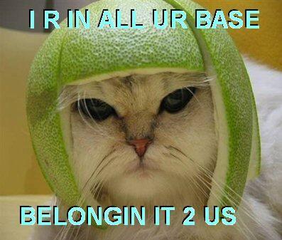 Limecat