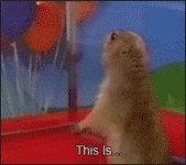 AVCYSR7ZM7ABUPOR3ZLP3YGRAZ7E6PIZ.gif
