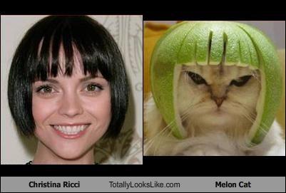 Limecat