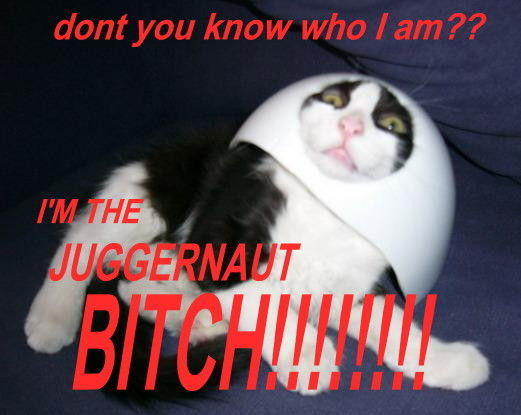 Juggernaut_Kitty_by_Juggernaut89.jpg
