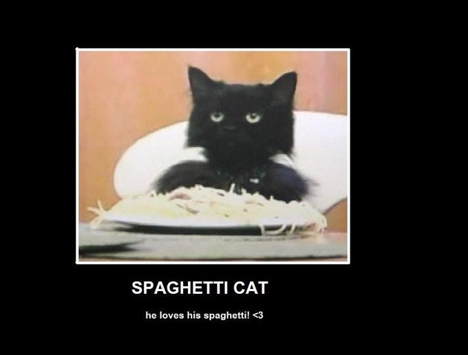 spaghetti_cat_by_emoXpandaXbear.jpg