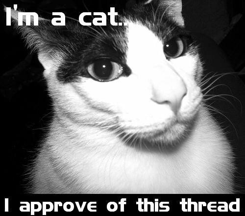 X Does Not Approve/ Approves