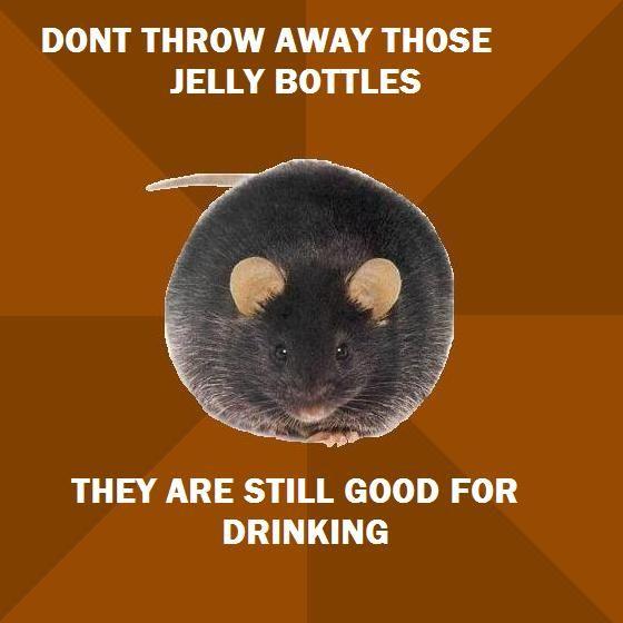 number3.jpg