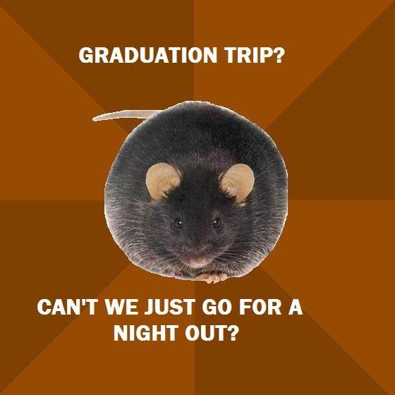 Poverty Rat