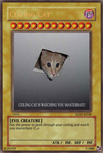 TEH_CEILING_CAT_CARD_by_HewieTheWhiteDog.jpg