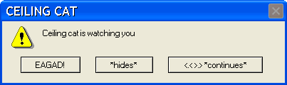 CEILING_CAT_ERROR_by_PsycoeKitty20110724-22047-amgorg.png