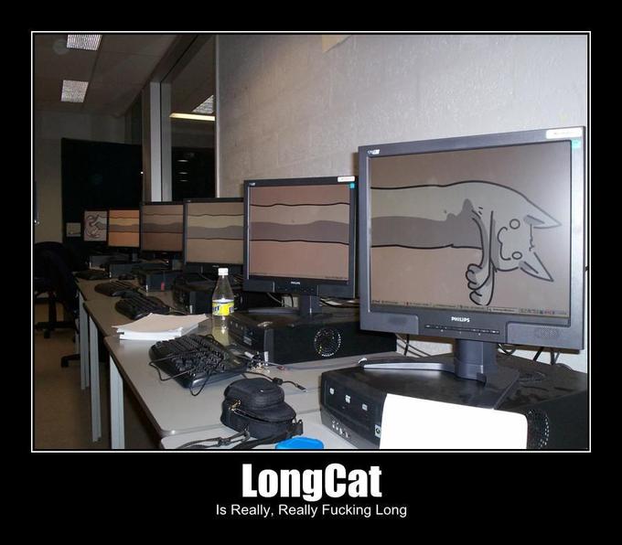 Longcat