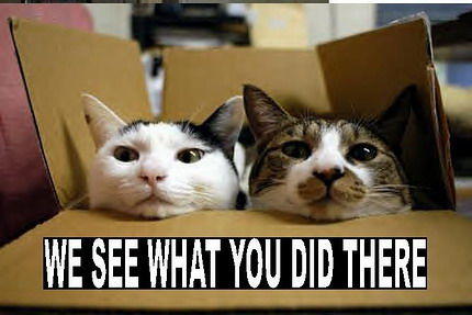 I See What You Did There