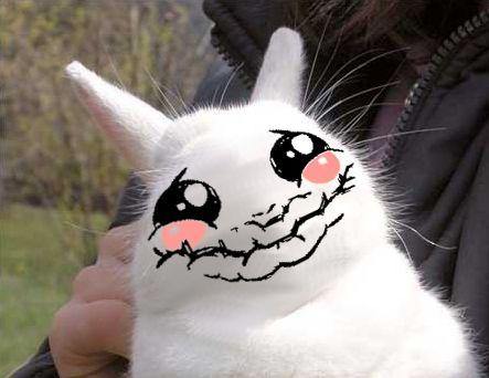 Bunnyfaic