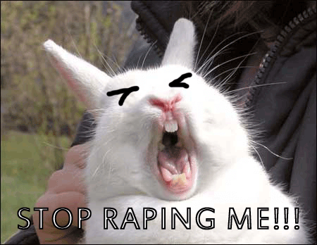 Bunnyfaic