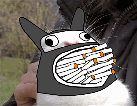 Bunnyfaic