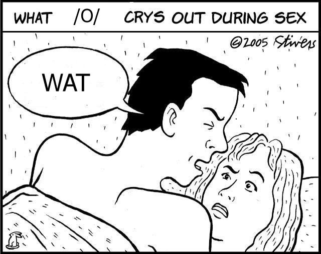What 4chan Cries Out During Sex