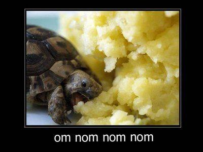 Om Nom Nom Nom