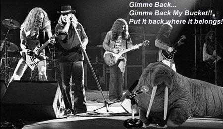 83-walrus-live-with-skynyrd.jpg