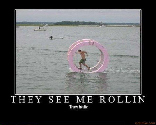 rollin_1.jpg